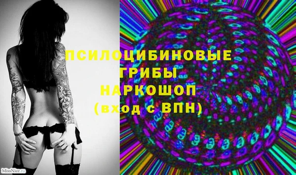скорость Няндома