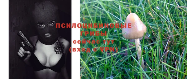 скорость Няндома
