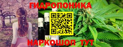 мяу мяу мука Азнакаево