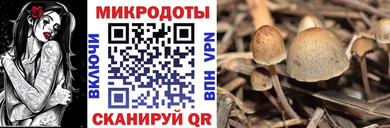 цены наркотик  Аксай  Галлюциногенные грибы мицелий 