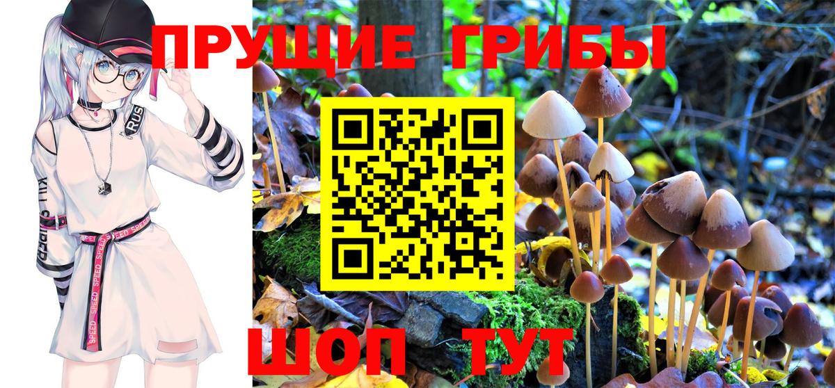 Галлюциногенные грибы Magic Shrooms Аксай